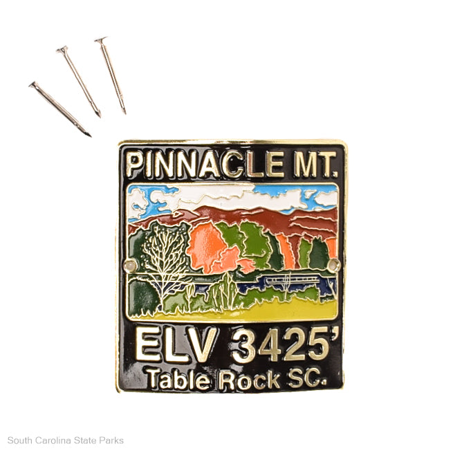 Hiking Stick Medallion Pinnacle Mtn Table Rock State Park