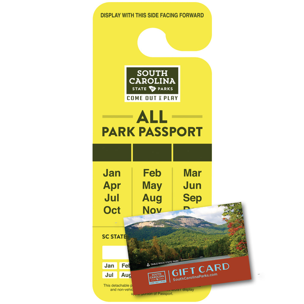 All Park Passport - Yellow
