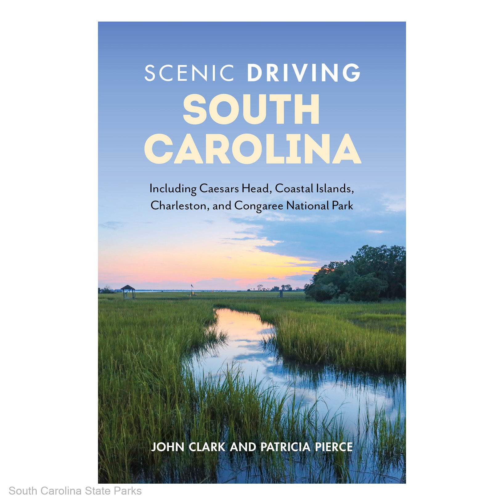 Scenic Driving South Carolina - CAEI01729