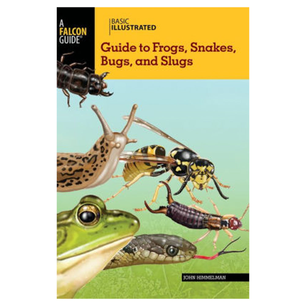 Guide to Frogs, Snakes, Bugs, and Slugs - ADI01141