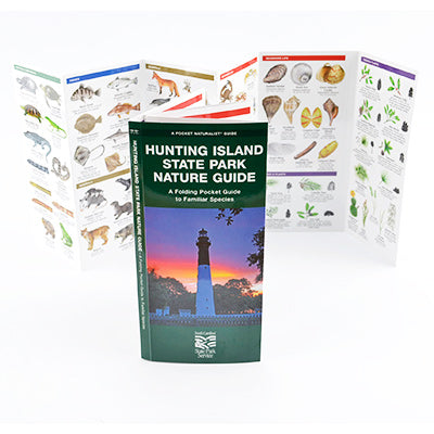 Hunting Island State Park Nature Guide - HISI0006970