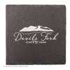 COASTER SLATE DEVILS FORK STATE PARK LOGO