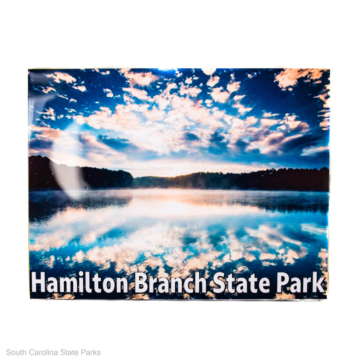 MAGNET HAMILTON BRANCH STATE PARK LAKE PHOTO
