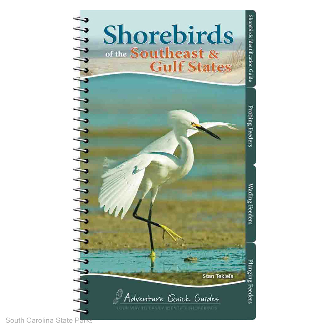 BOOK SHOREBIRDS OF THE SE