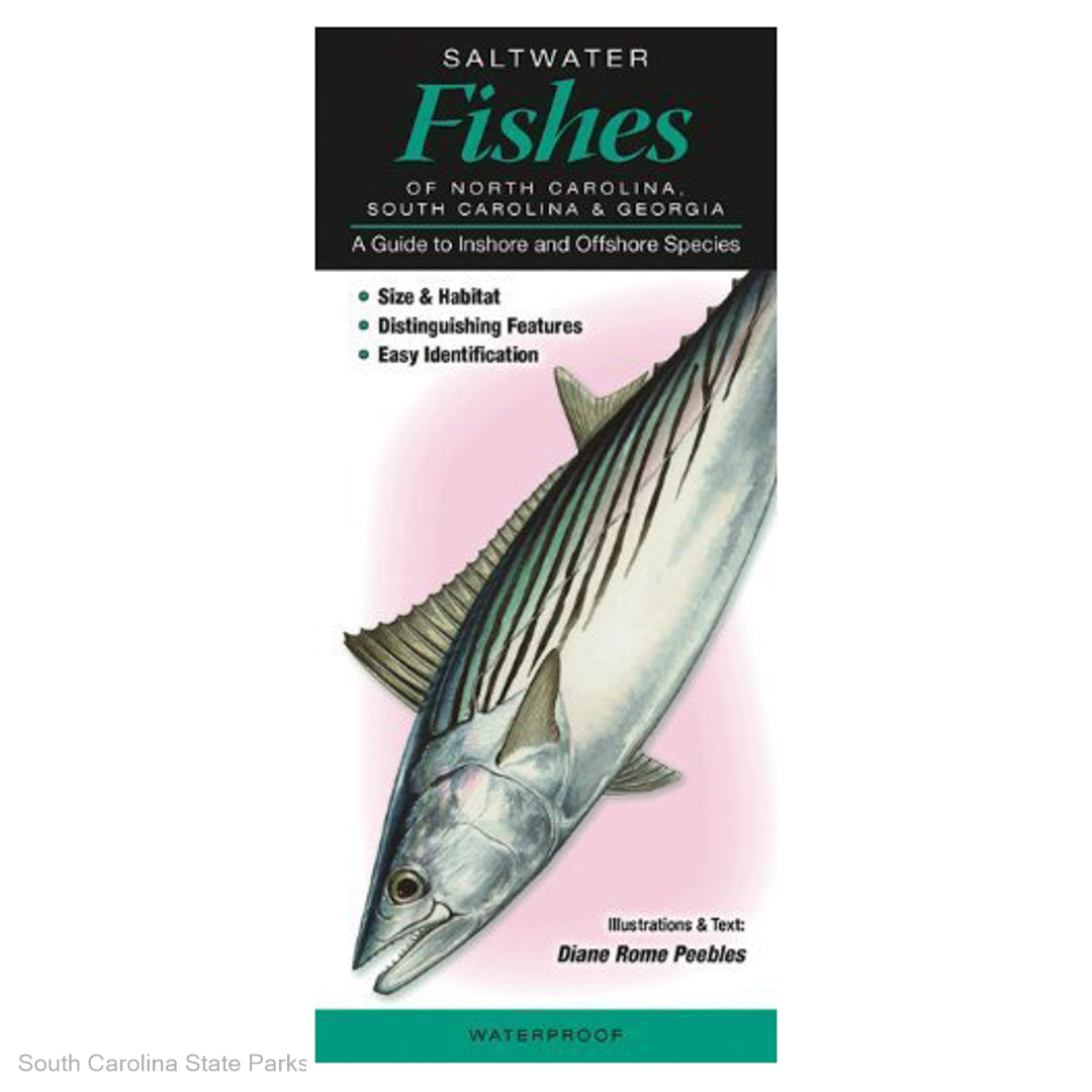 FIELD GUIDE-SALTWATER FISHES OF NC, SC & GA