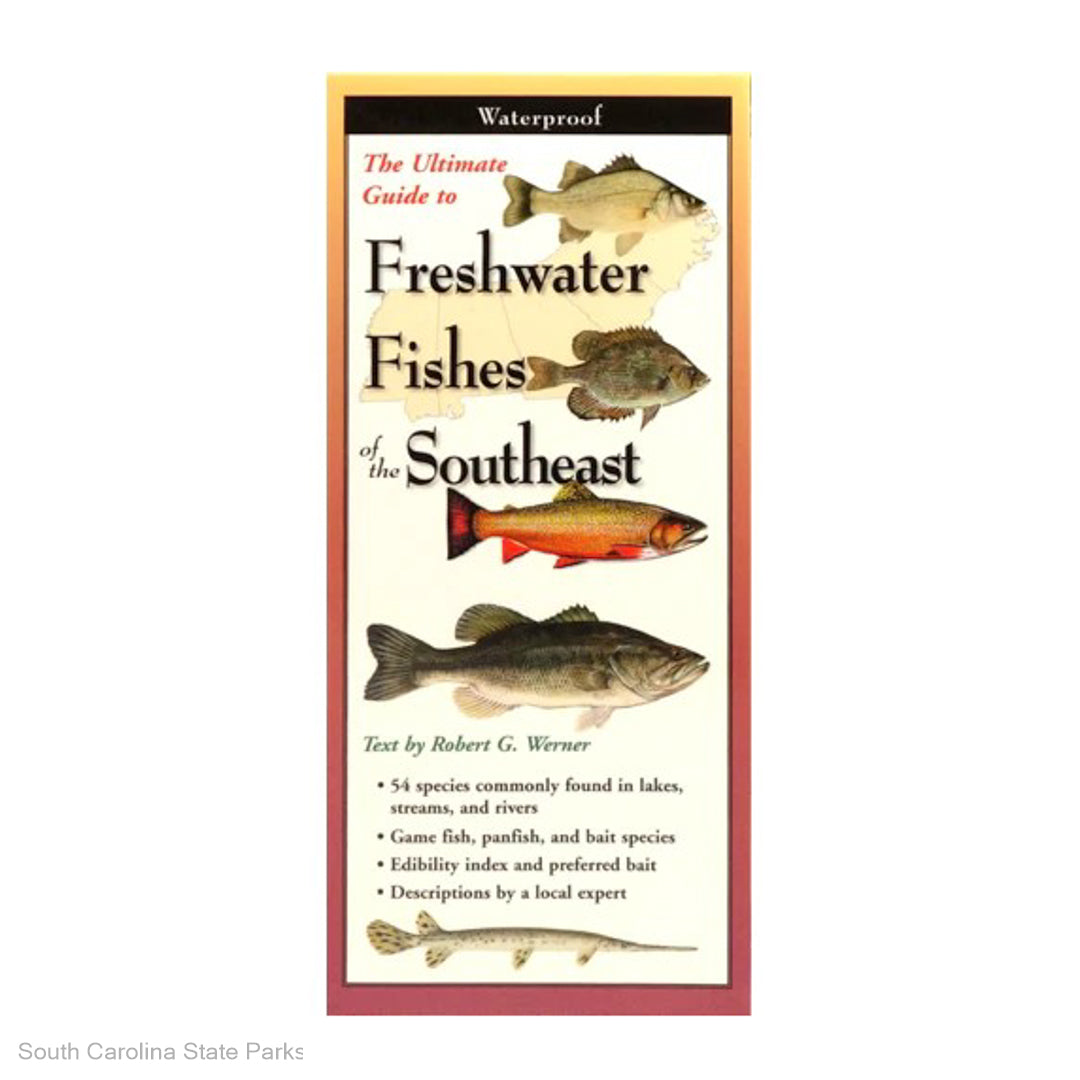 FIELD GUIDE-FRESHWATER FISHES OF THE SE