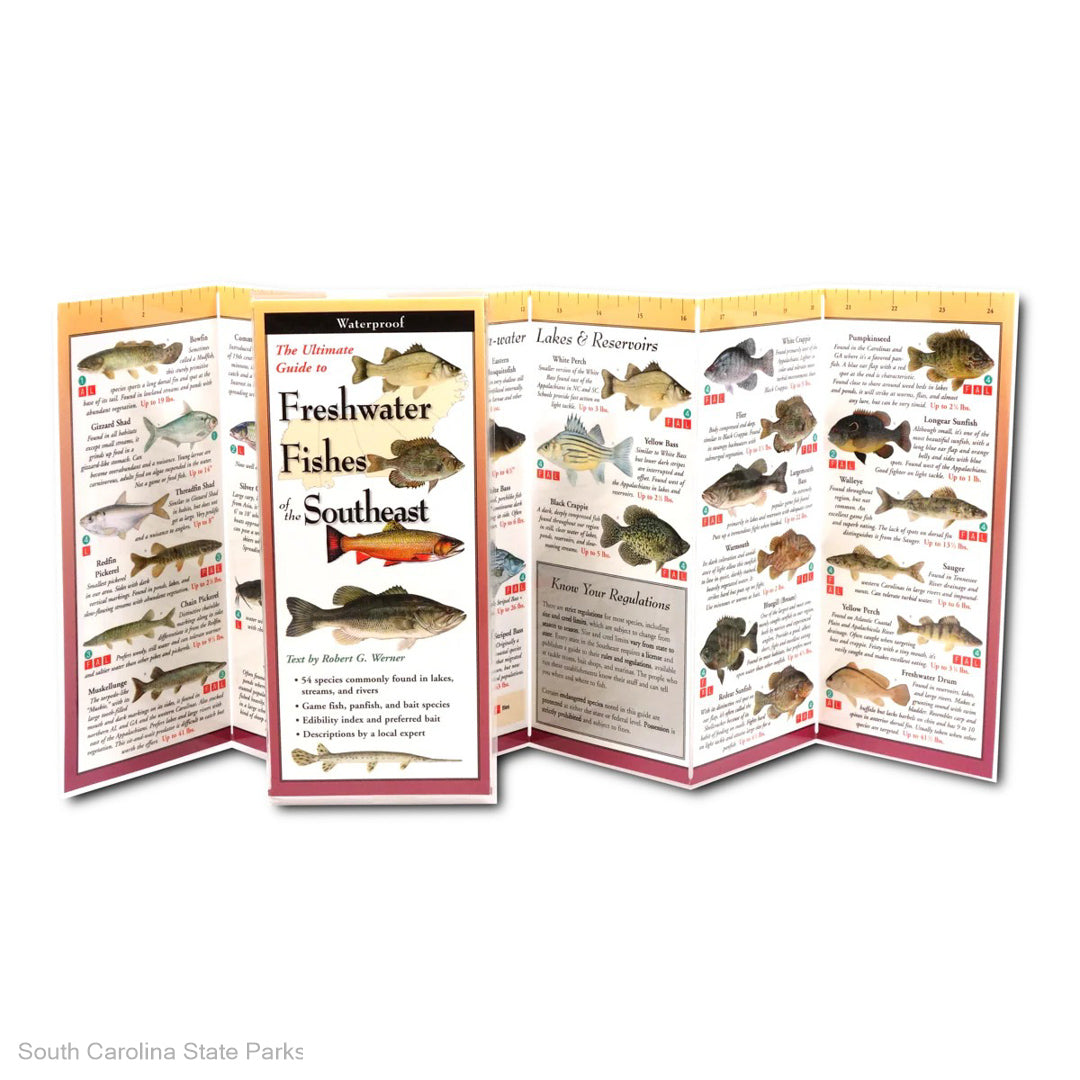FIELD GUIDE-FRESHWATER FISHES OF THE SE