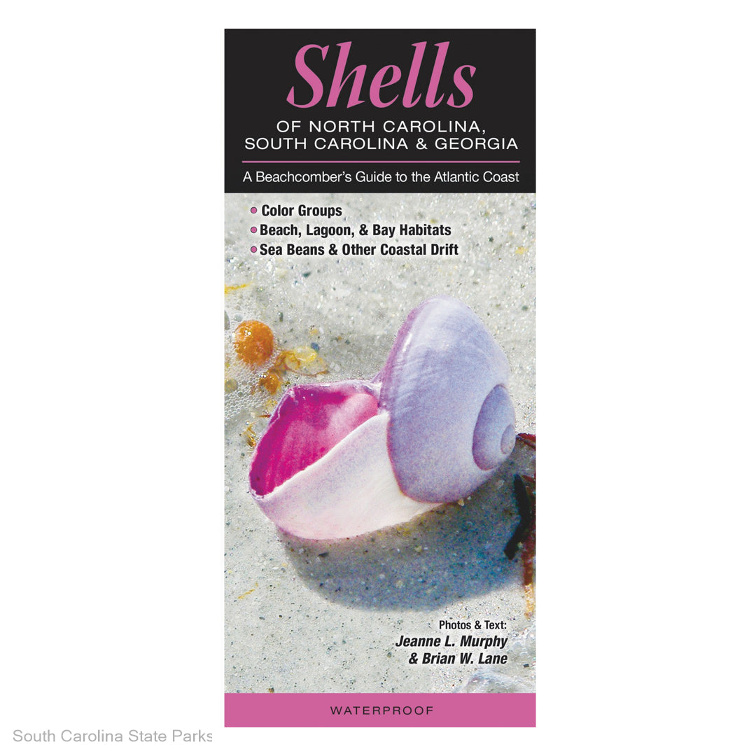 FIELD GUIDE-SHELLS OF NC, SC & GA