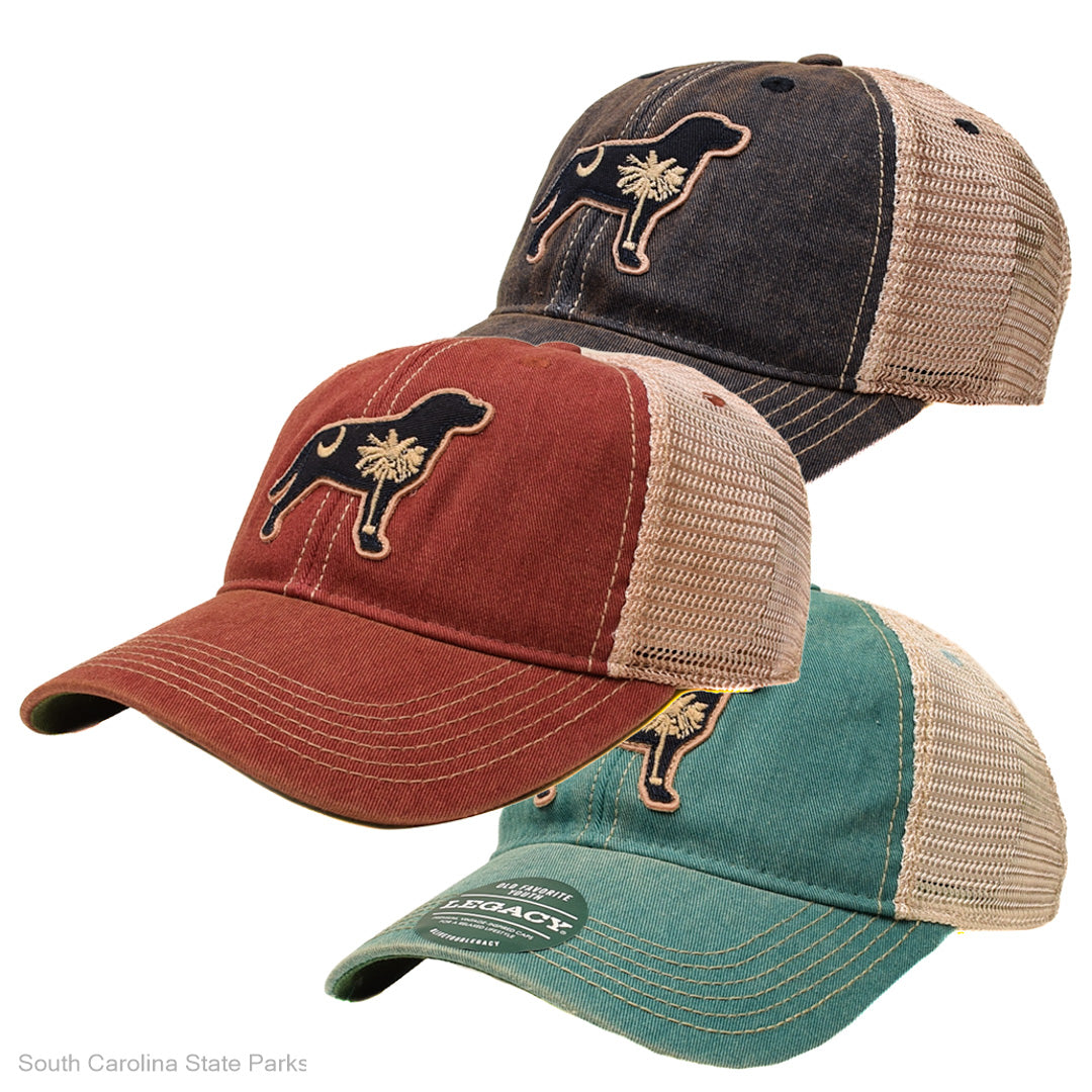 HAT YOUTH PALMETTO DOG