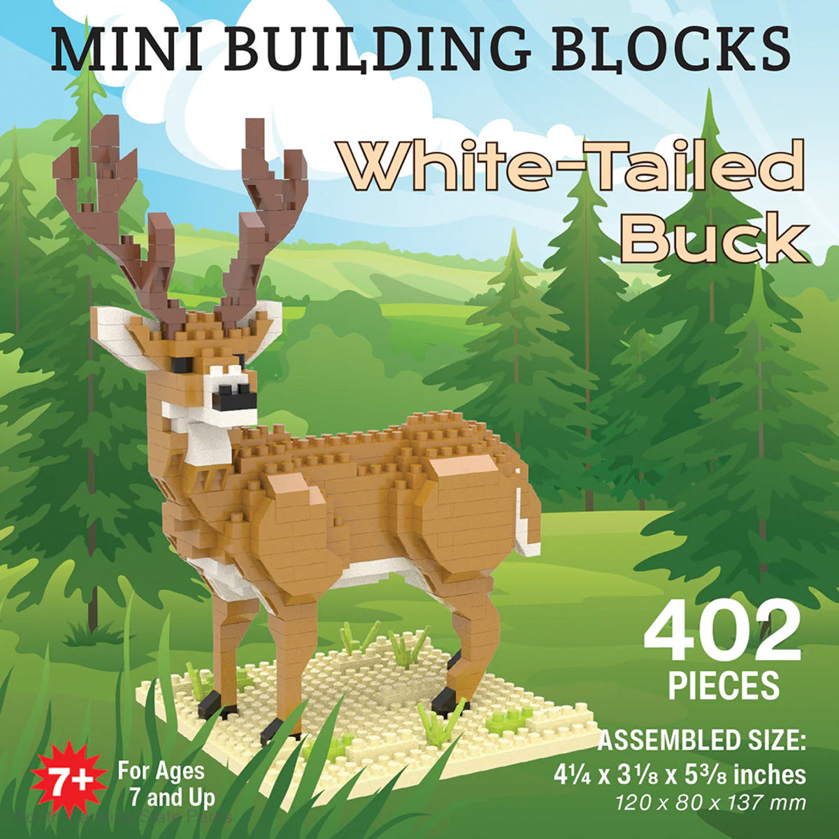 MINI BUCK BUILDING BLOCKS