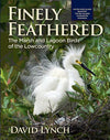 Finely Feathered - ADI01426
