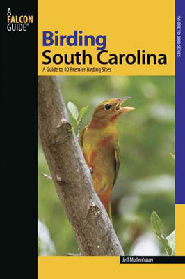 Birding South Carolina - CAEI01365