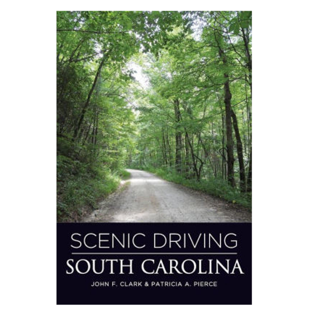 Scenic Driving South Carolina - CAEI01729