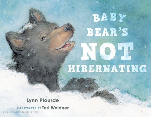Baby Bear's Not Hibernating Children Book - South Carolina State Parks