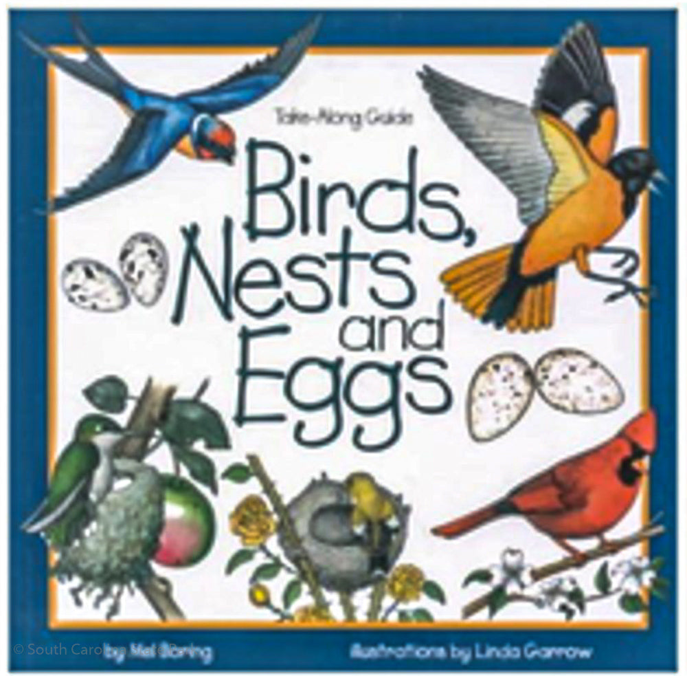 Birds Nest and Eggs - HKSI000492